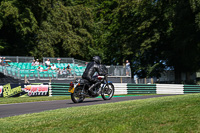 Vintage-motorcycle-club;eventdigitalimages;mallory-park;mallory-park-trackday-photographs;no-limits-trackdays;peter-wileman-photography;trackday-digital-images;trackday-photos;vmcc-festival-1000-bikes-photographs